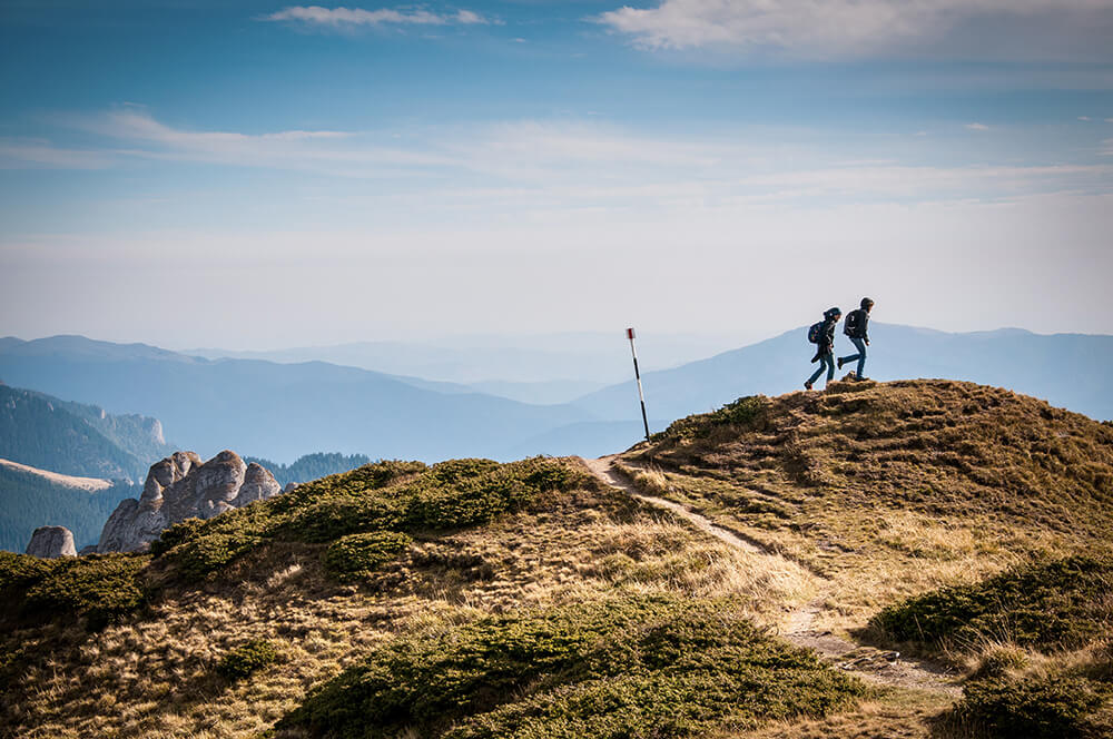 Hikers on the trail